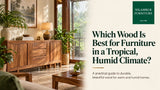 Which Wood Is Best for Furniture in a Tropical, Humid Climate?