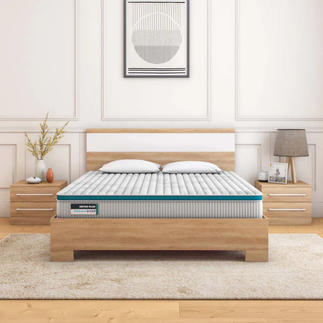 ORTHO PLUS COIR MATTRESS