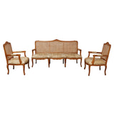 DHRUV TEAK WOOD RATTAN SOFA