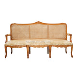 DHRUV TEAK WOOD RATTAN SOFA